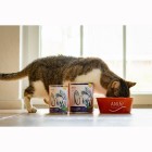 Cat Wet pet food Fisch à la Mode 200g 6 Piece -3- Anifit