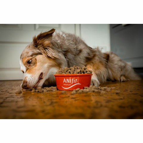 Dog Snacks Venison-Snack (Hirsch-Snack) 170g 1 Package -4- Anifit